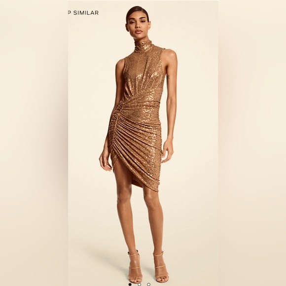 Collection Runway hand embroidered holiday dress - Picture 5 of 8